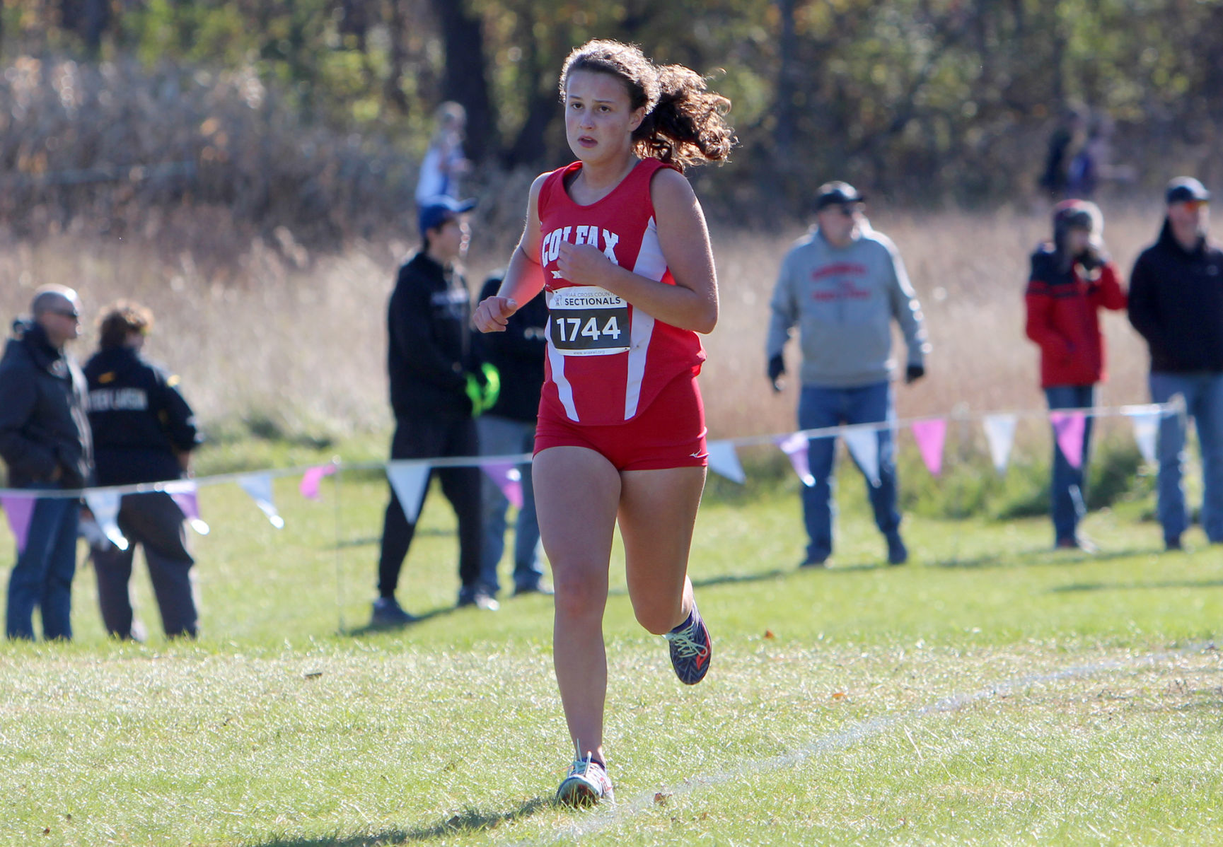 Division 3 Cross Country Sectionals in Boyceville 10-26-19